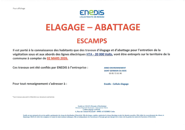 ELAGAGE - ABATTAGE